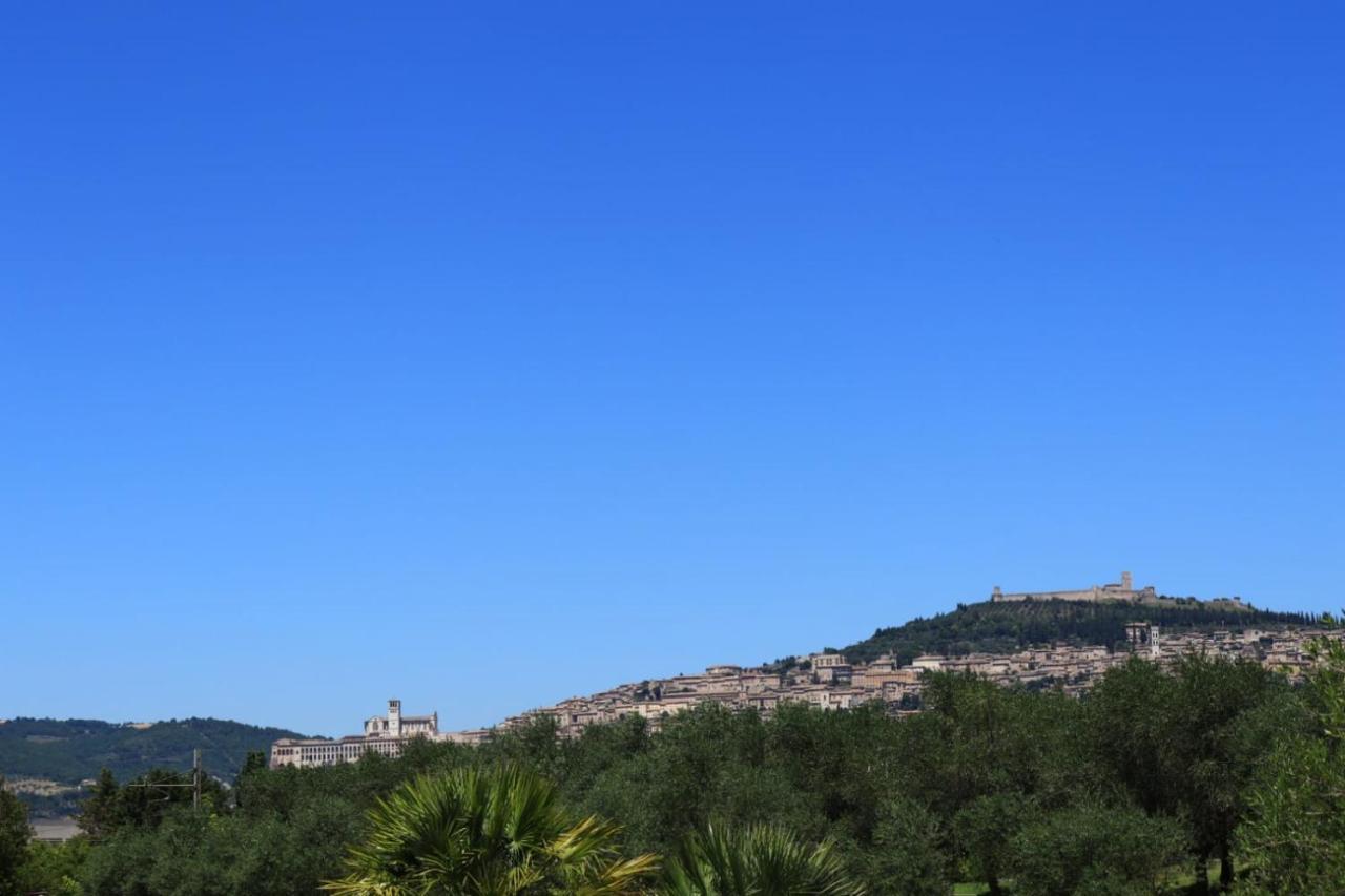 Agriturismo Il Casale Di Monica Rivotorto Exterior foto